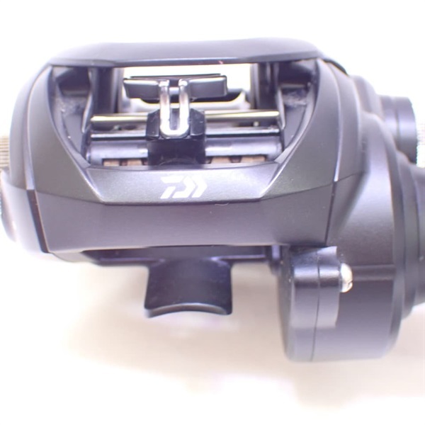 タトゥーラ１００ＨＬ